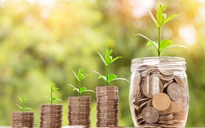 Agricultural Trading (Agro Business)